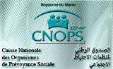 الصندوق الوطني لمنظمات الاحتياط الاجتماعي